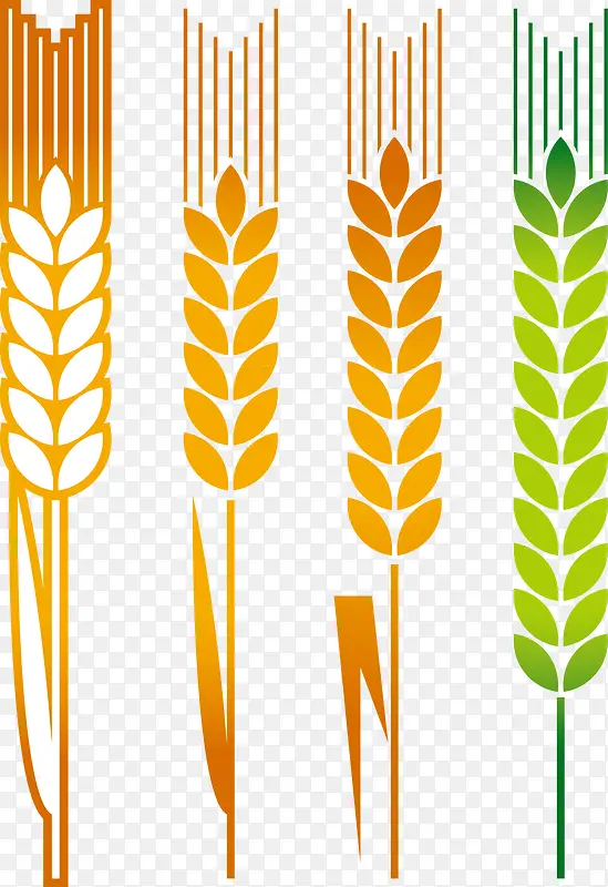 �����ز�-������