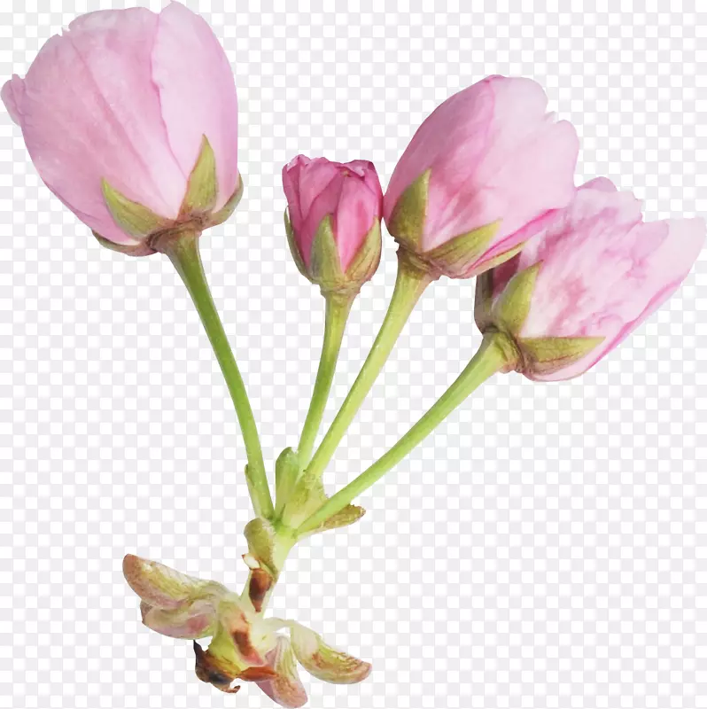 �л�������.��ɫ��-������