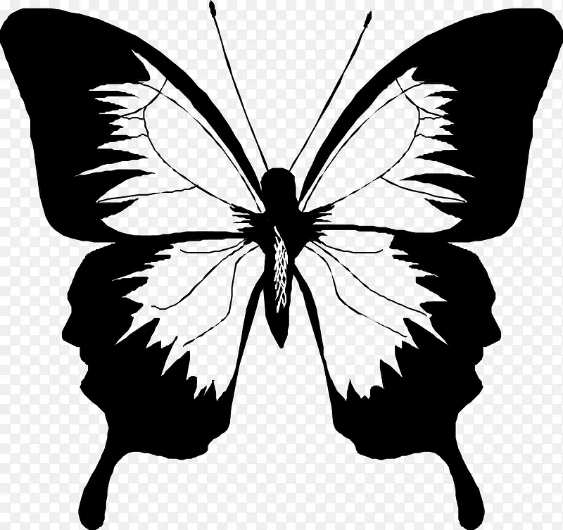 ������Ӱ�ز�-������