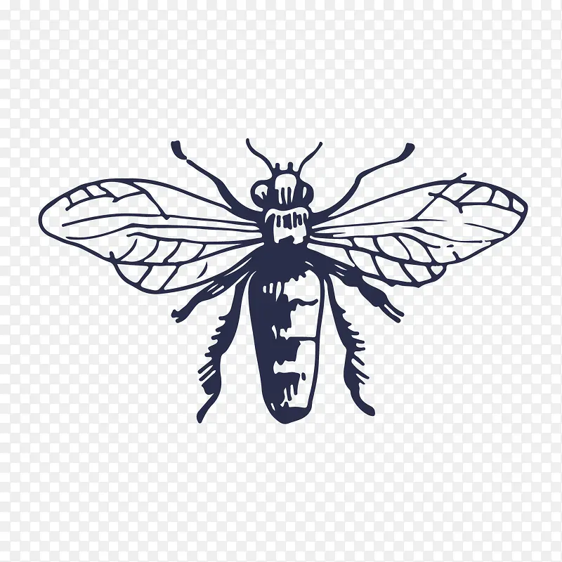 �����Ӱ-������