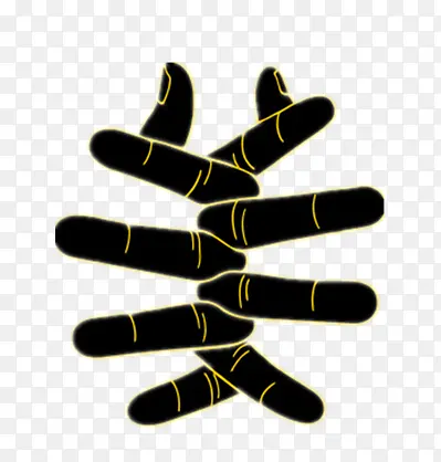 ��ָ-������