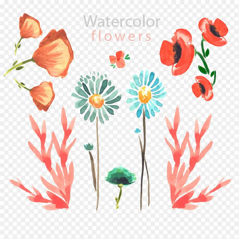 ˮ�ʻ��ɻ�ͼƬ����-������