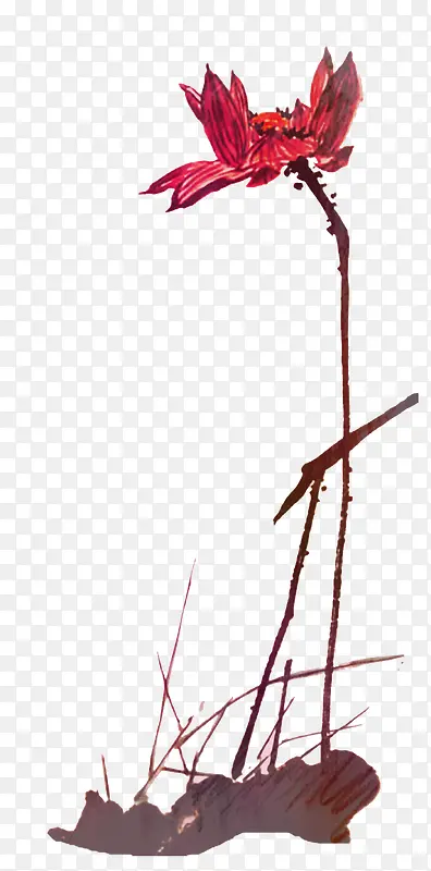 ˮ�ʺɻ�-������