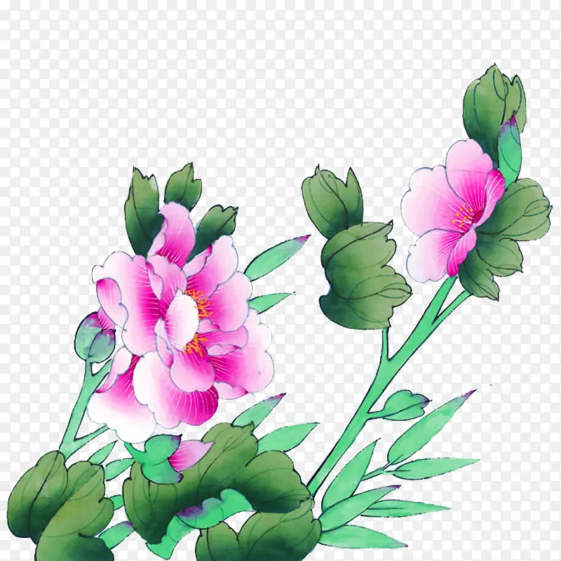 ˮ�ʻ�-������