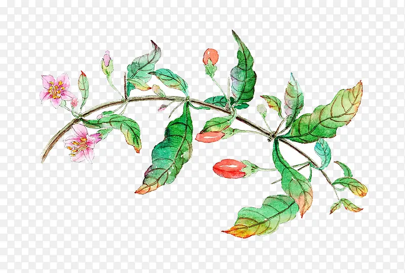 С���ѻ���ˮ�ʻ�ֲ�������-������