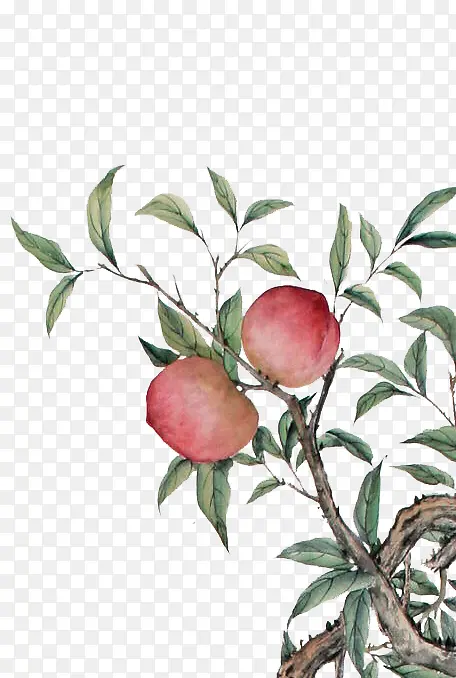 ����ˮ�ʻ�-������