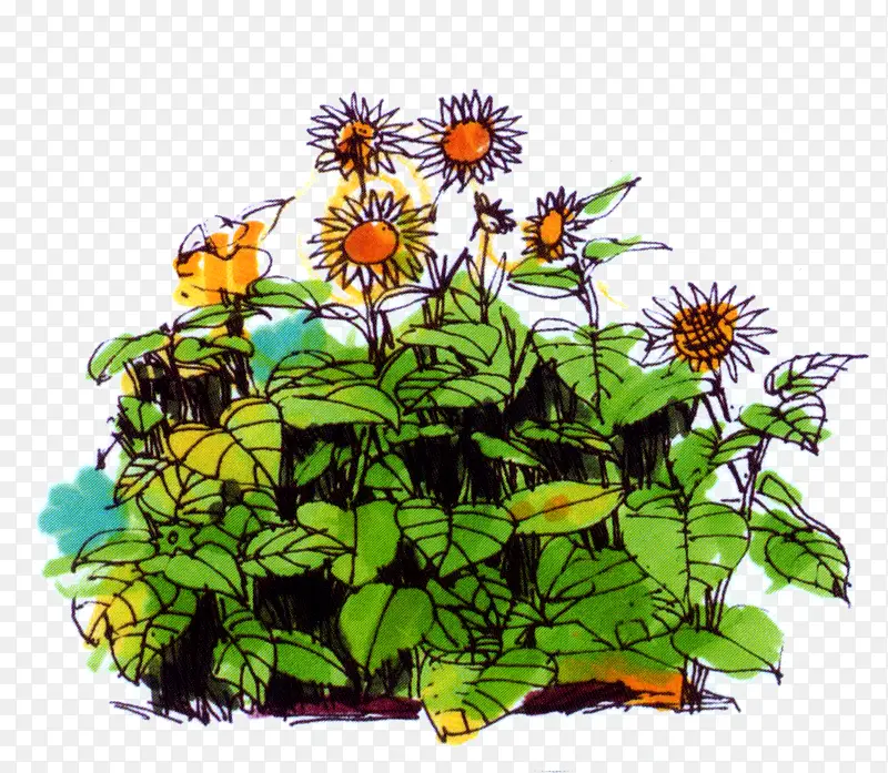 �滭ˮ�ʻ����տ�-������