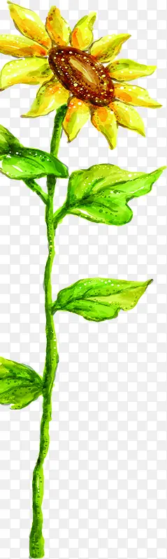 ˮ�ʻ����տ������ˬ-������