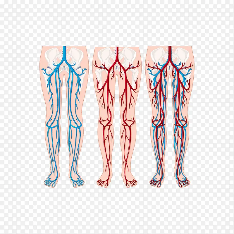 ҽѧ��ͼ-������