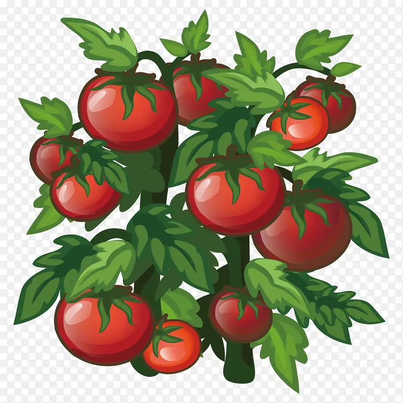 ����-������