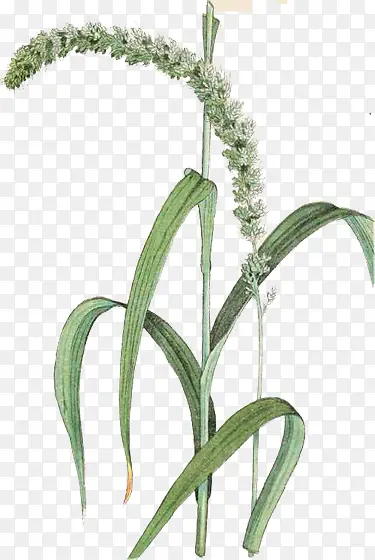 �ֻ湷β�Ͳ�-������