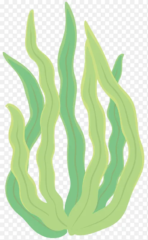 Ʈ��ʸ����ͨ����-������