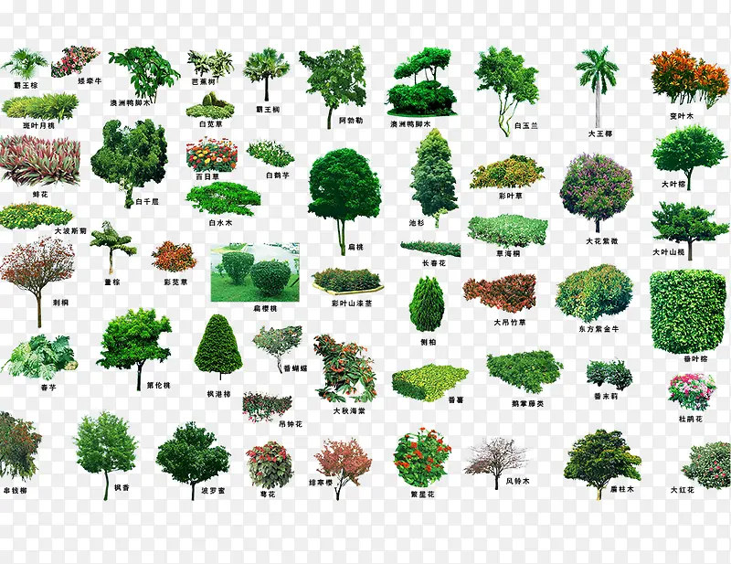 ��ľ�ϼ�-������