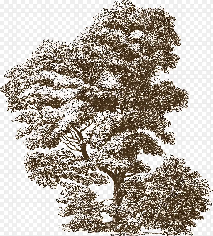 ���������-������