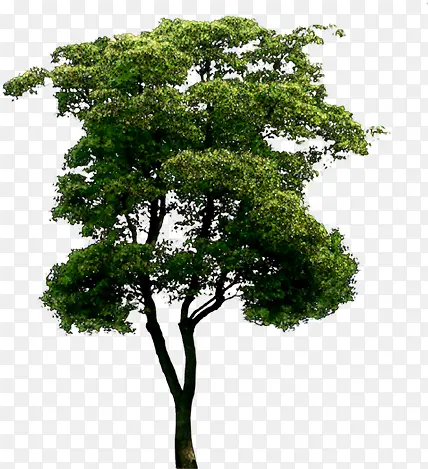 ��Ӱ��԰�����ɫ����-������