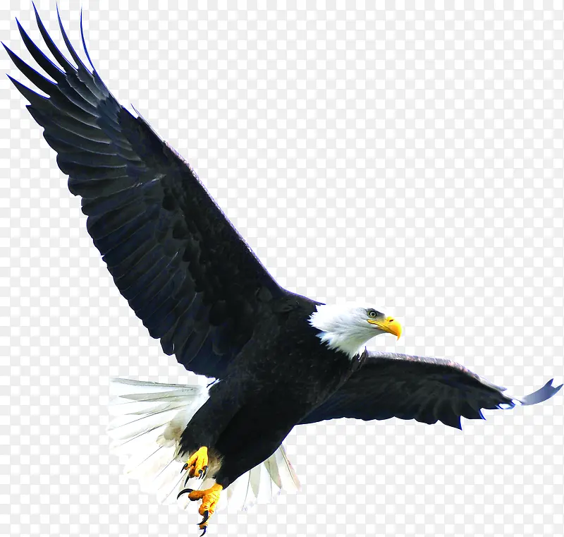 ������Ӱèͷӥչ��߷�-������