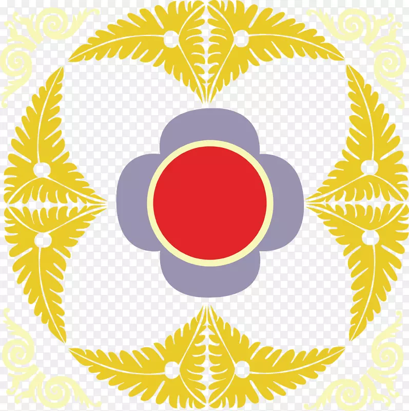 Բ��������ԳƼ���ͼ������-������