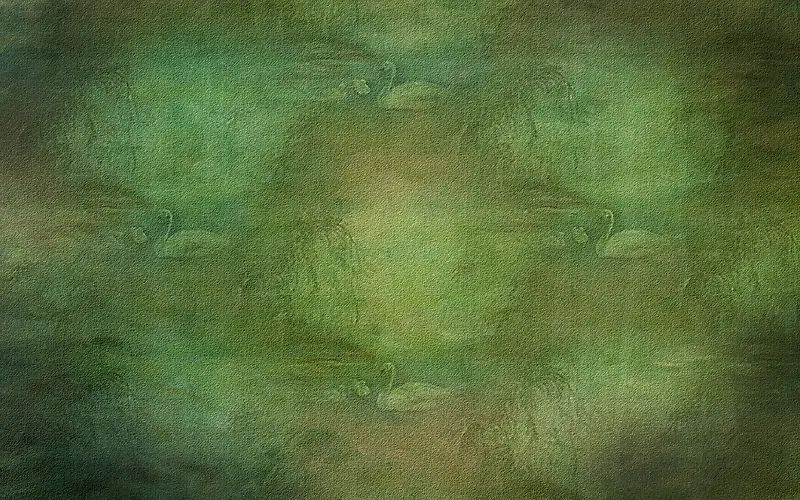 ���������Ʊ���-������