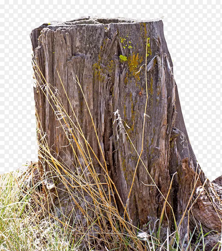 ��׮-������