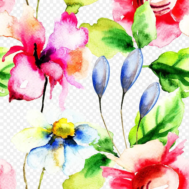 ��ɫˮ�ʻ�-������