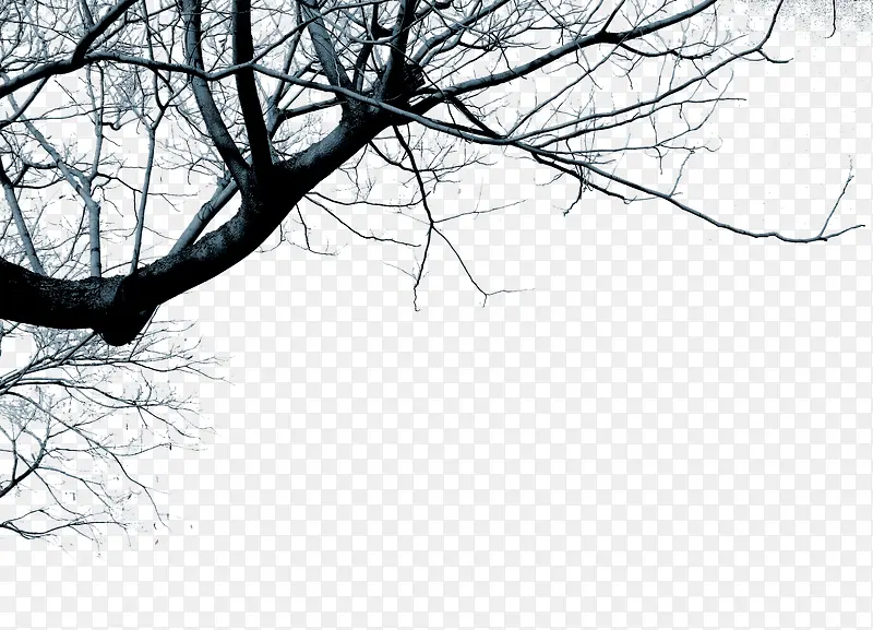 ����֦-������