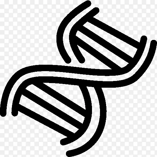 �����ͼ��dna��ѧ����ѧdna-������
