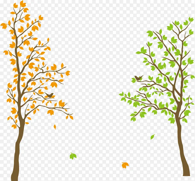 һ���ɫһ����ɫ����-������