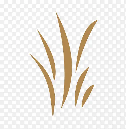 ����ɫ֮С��-������