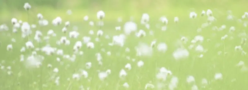 �λû��ܱ���-������