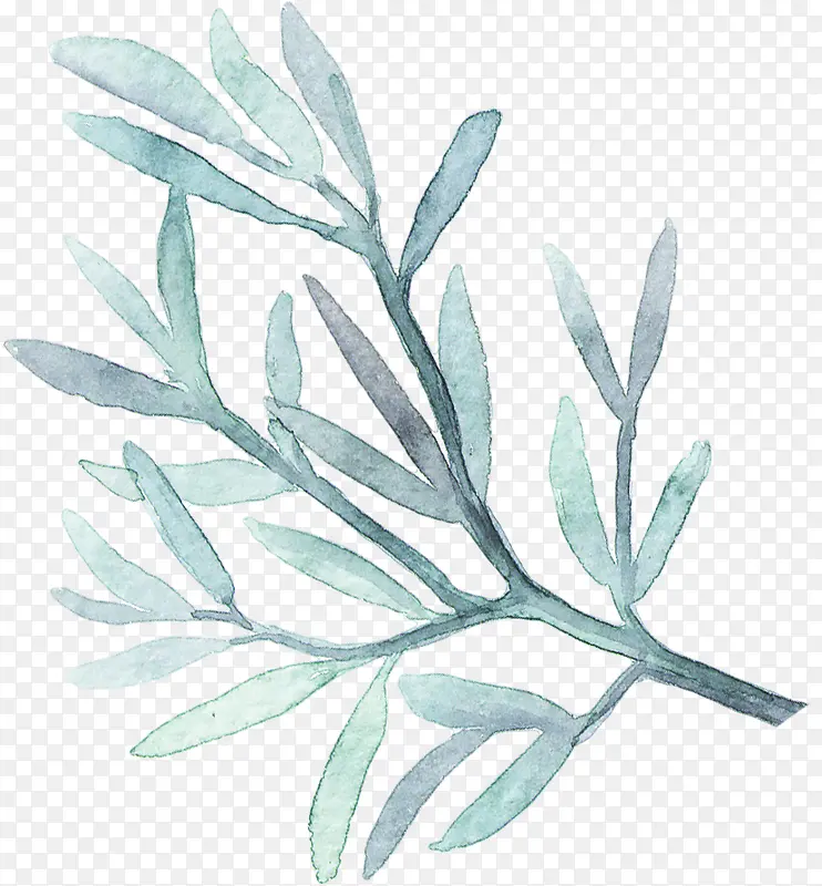 ����ɫˮ����֦-������