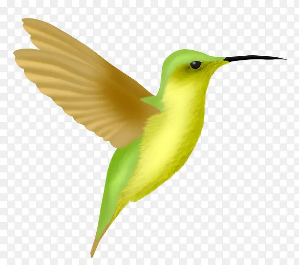 ��ͨ�ֻ����-������