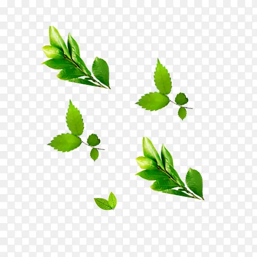 Ư�����ɲ�-������