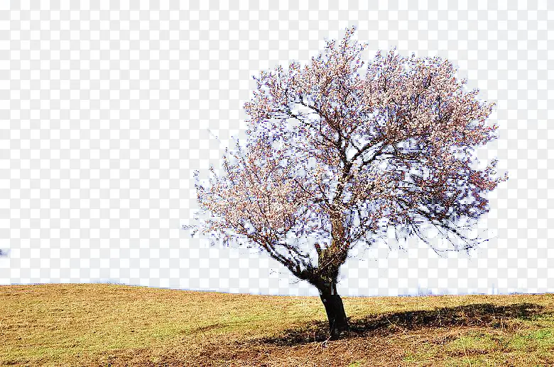 ԭҰ����-������