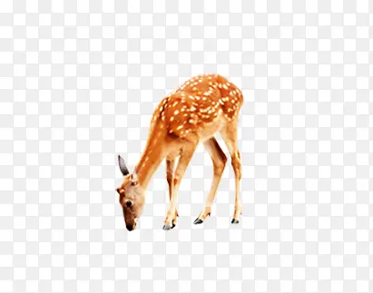 ����-������