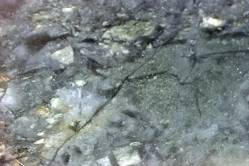 ���ѵı�����-������