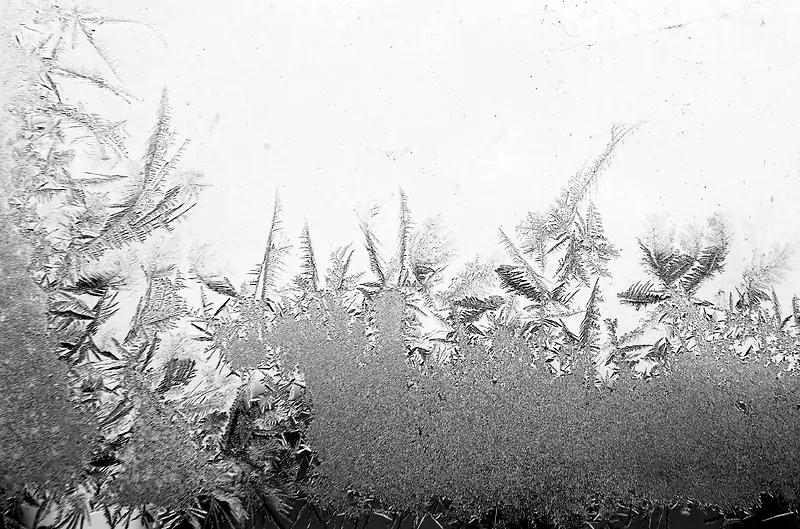 ����ѩ������-������