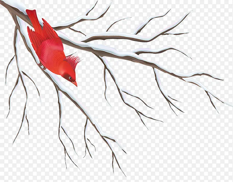 2018�궬����ѩѩ����֦-������