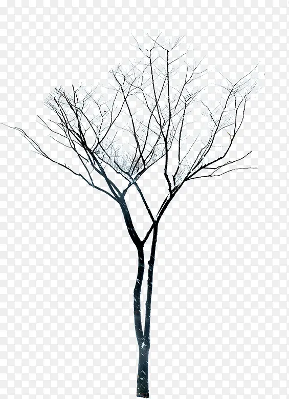 ��ɫ��������ѩ��-������