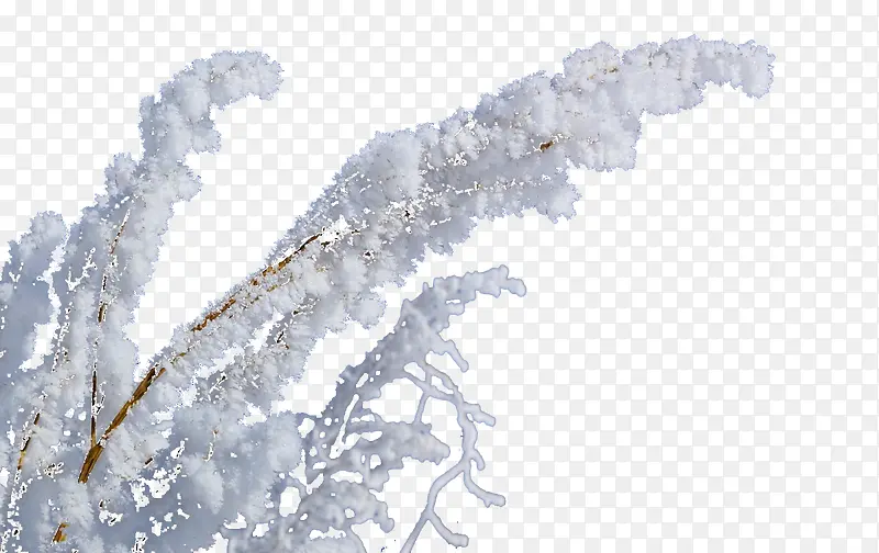 ѩ��-������