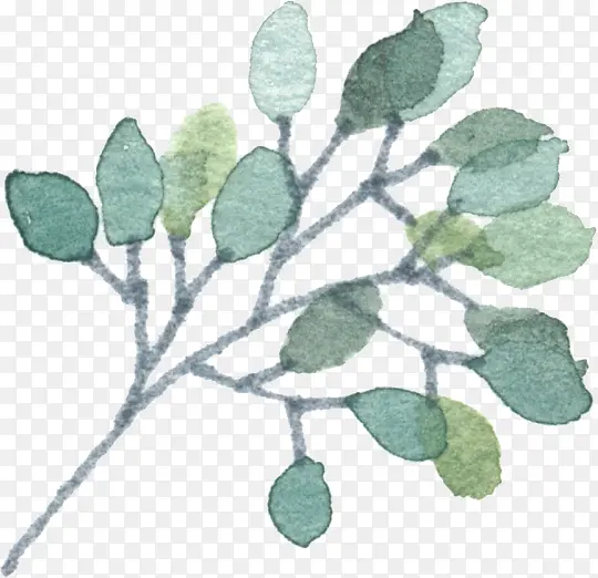 Ư��ֲ��-������