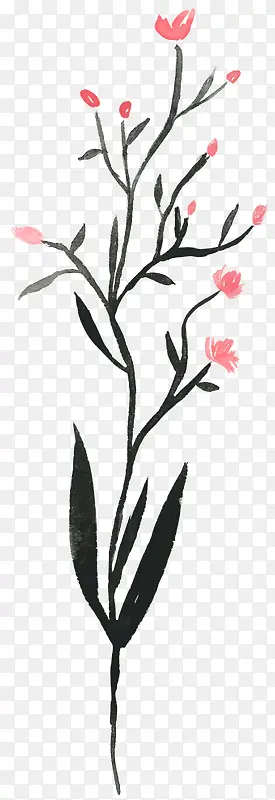 Ư����֦-������