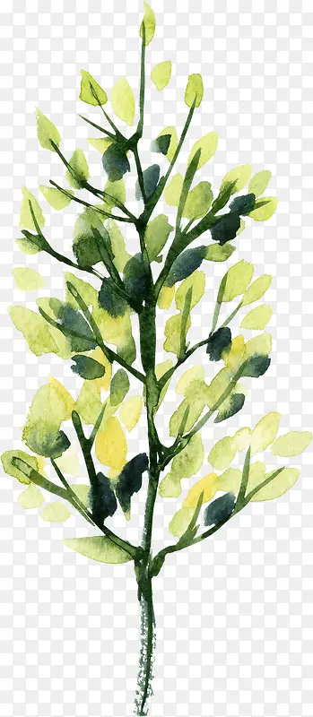 ˮ����ɫ������֦ҶƬ-������