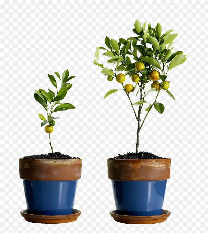 ��������-������