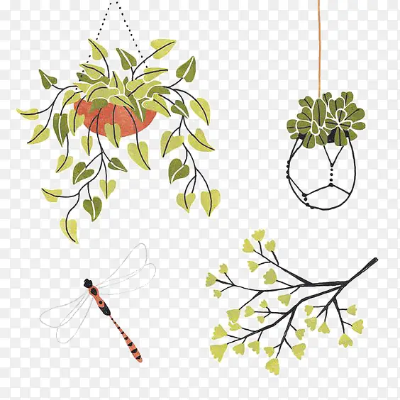 ��ֲͨ��-������