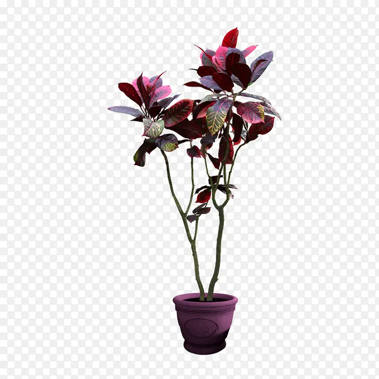 ������֦-������