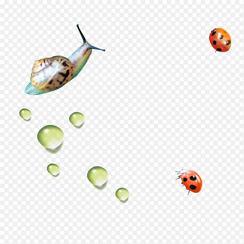 ������ţ-������