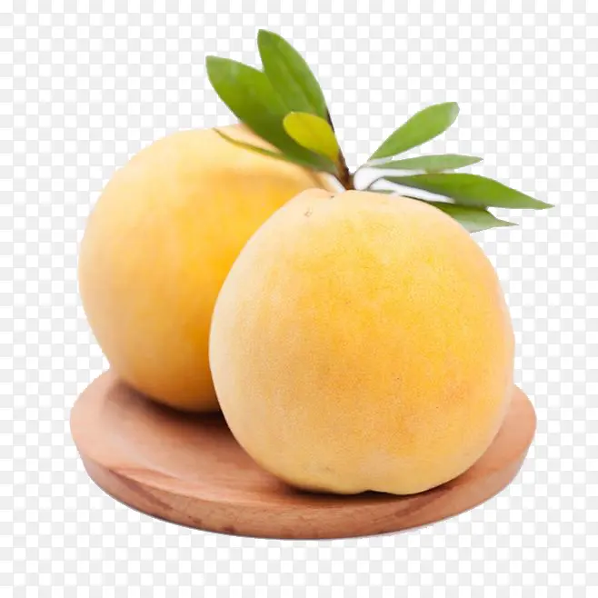 ˮ��ѩ��-������