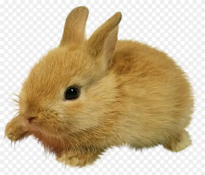 ��ͨ ����-������