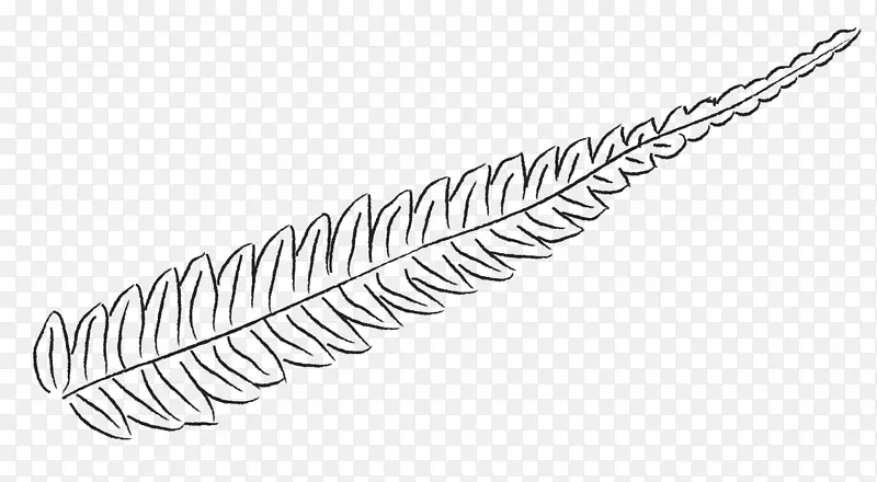 �������ѧ������������ѧ����˶ʿ-ާ��ֲ��-������