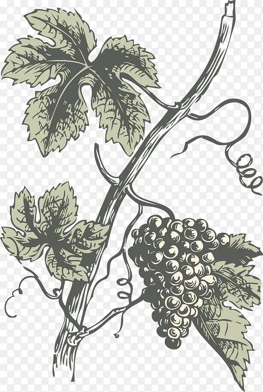 �ֻ�������֦Ҷ�ӹ�ʵ-������